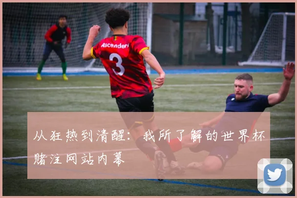 从狂热到清醒：我所了解的世界杯赌注网站内幕