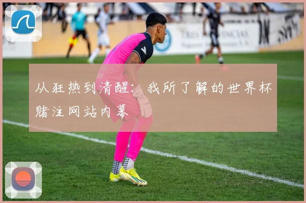 从狂热到清醒：我所了解的世界杯赌注网站内幕