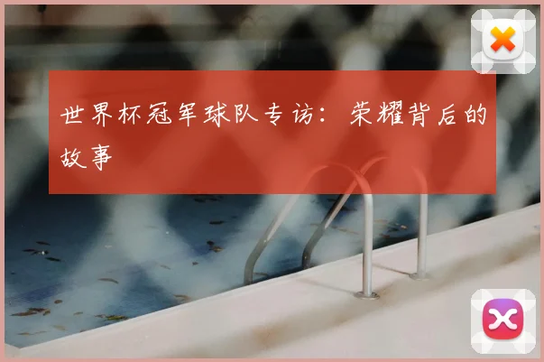 世界杯冠军球队专访：荣耀背后的故事