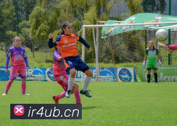 多媒体互动体验